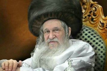 תמונת מס 8